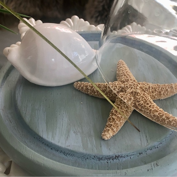 New! Ocean Wood Glass Cloche +Seashell & Starfish - Picture 2 of 5